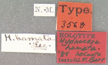 Media type: image;   Entomology 3568 Aspect: labels
